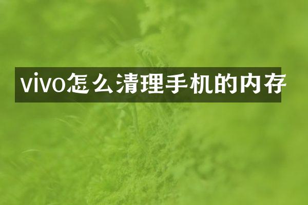 vivo怎么清理手机的内存
