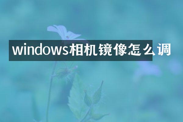 windows相机镜像怎么调