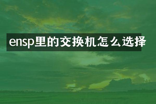 ensp里的交换机怎么选择