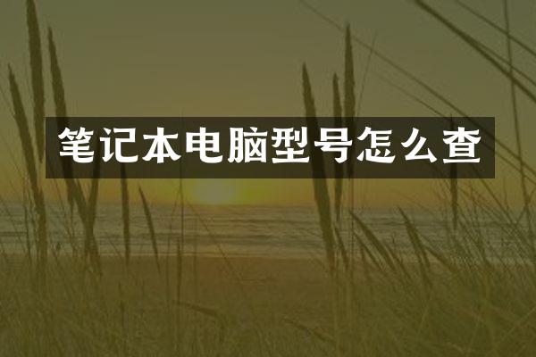 笔记本电脑型号怎么查