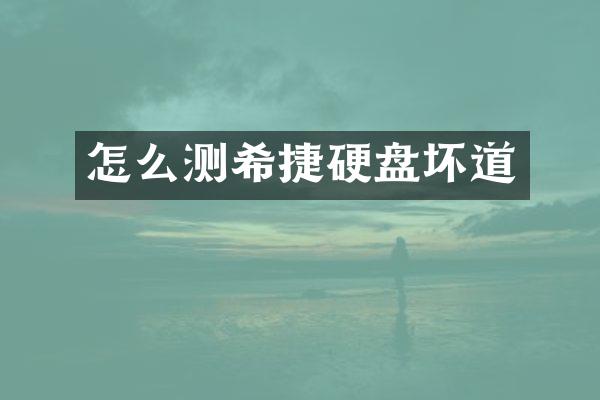 怎么测希捷硬盘坏道