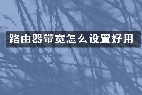 路由器带宽怎么设置好用