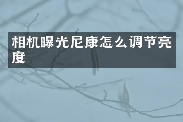 相机曝光尼康怎么调节亮度
