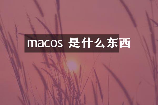 macos 是什么东西
