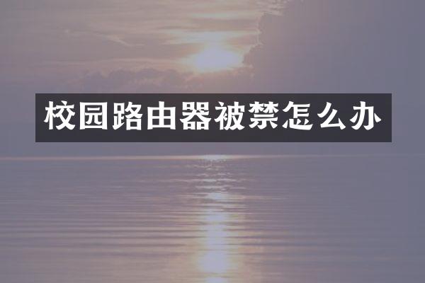 校园路由器被禁怎么办
