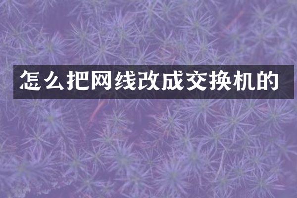 怎么把网线改成交换机的