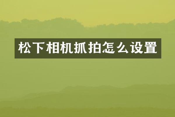 松下相机抓拍怎么设置