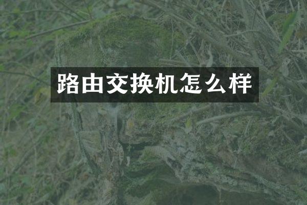路由交换机怎么样