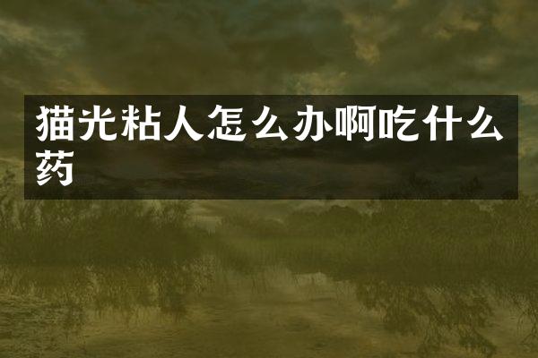 猫光粘人怎么办啊吃什么药