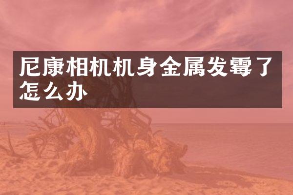尼康相机机身金属发霉了怎么办