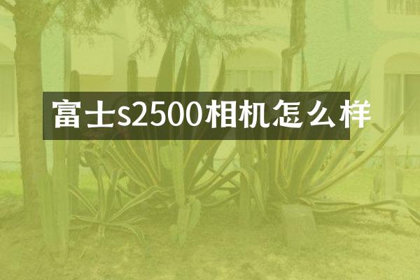 富士s2500相机怎么样