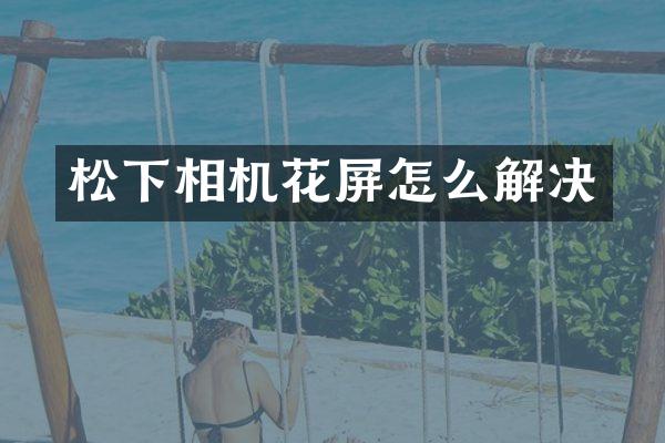 松下相机花屏怎么解决