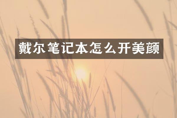 戴尔笔记本怎么开美颜