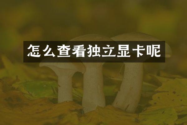 怎么查看独立显卡呢