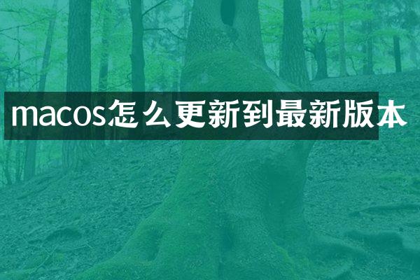 macos怎么更新到最新版本
