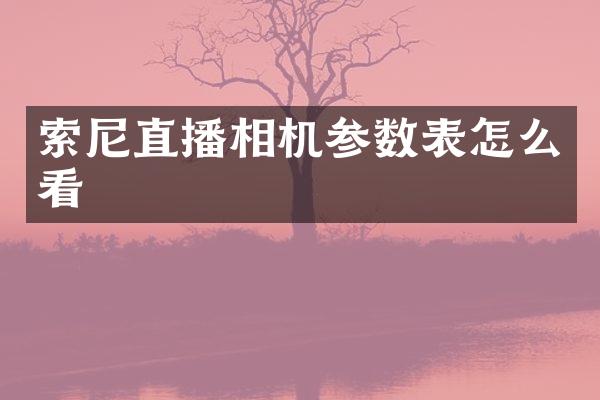 索尼直播相机参数表怎么看