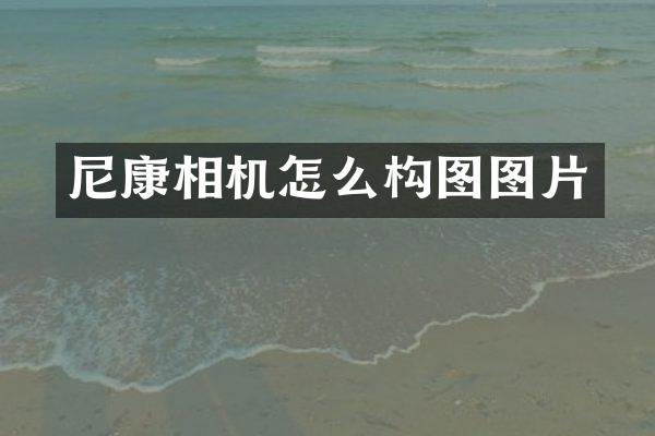 尼康相机怎么构图图片