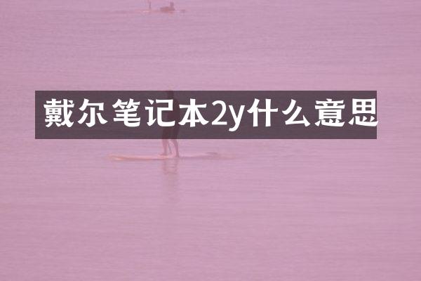 戴尔笔记本2y什么意思