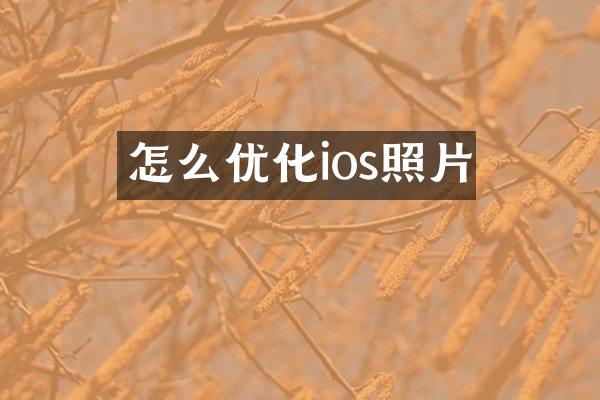 怎么优化ios照片
