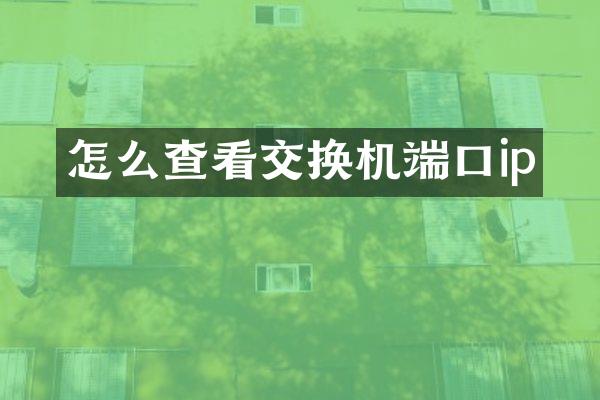 怎么查看交换机端口ip