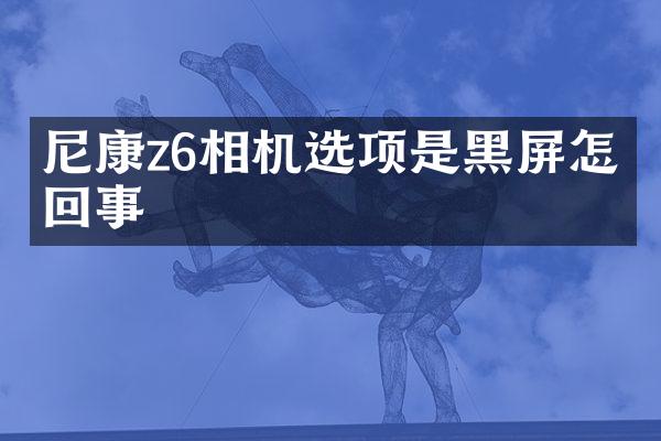 尼康z6相机选项是黑屏怎么回事