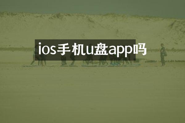 ios手机u盘app吗
