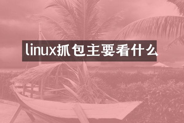 linux抓包主要看什么