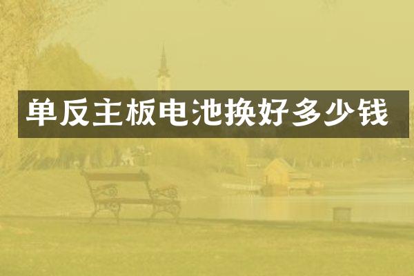 单反主板电池换好多少钱