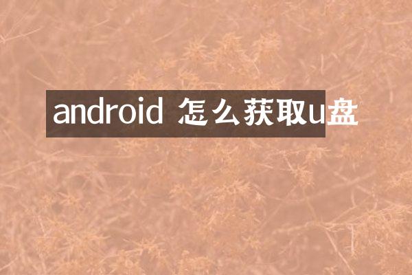 android 怎么获取u盘