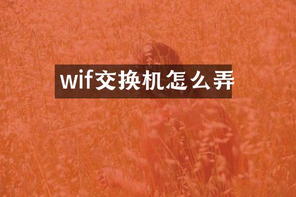 wif交换机怎么弄