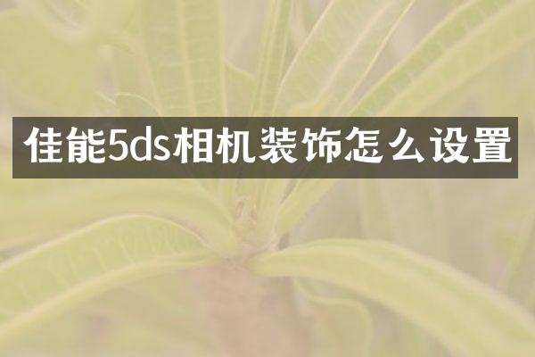 佳能5ds相机装饰怎么设置