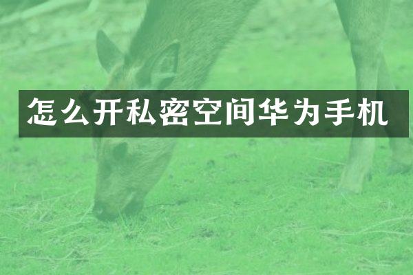 怎么开私密空间华为手机