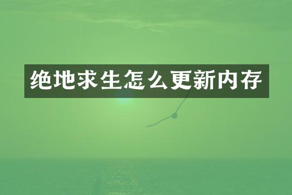 绝地求生怎么更新内存