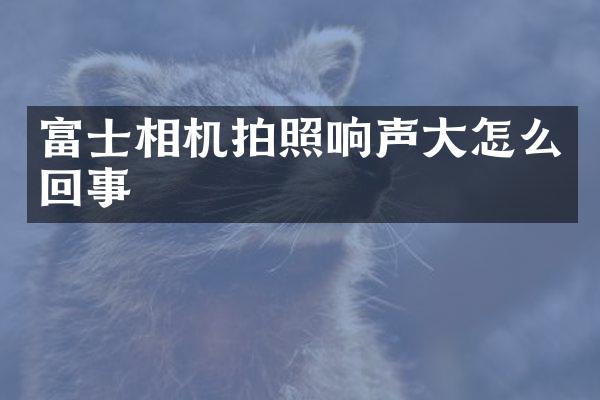 富士相机拍照响声大怎么回事