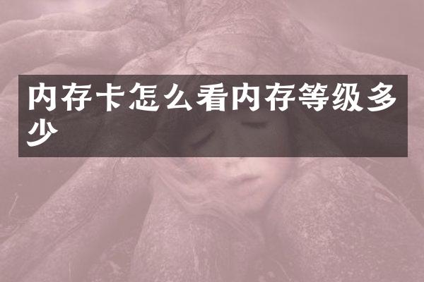 内存卡怎么看内存等级多少