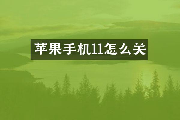 苹果手机11怎么关