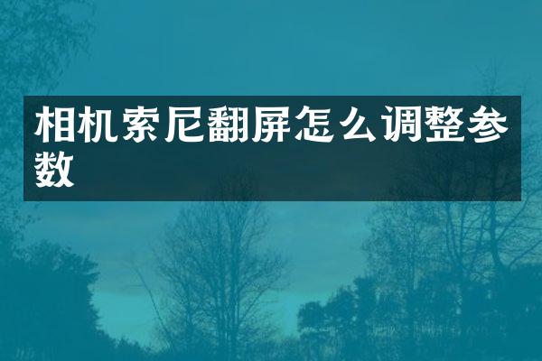 相机索尼翻屏怎么调整参数