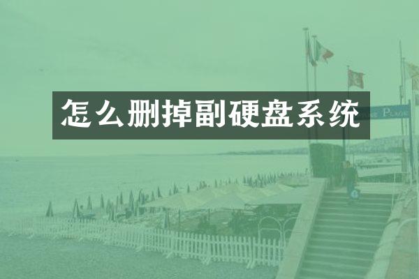 怎么删掉副硬盘系统