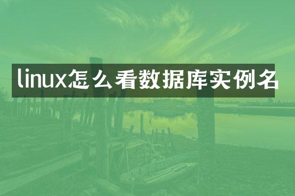 linux怎么看数据库实例名