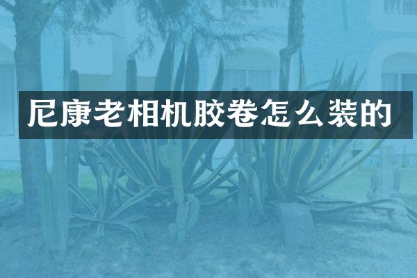 尼康老相机胶卷怎么装的