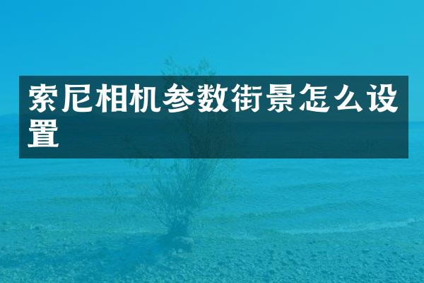 索尼相机参数街景怎么设置