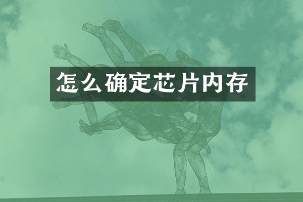 怎么确定芯片内存