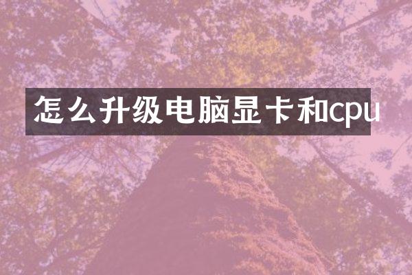 怎么升级电脑显卡和cpu