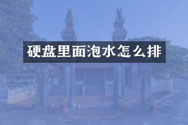 硬盘里面泡水怎么排