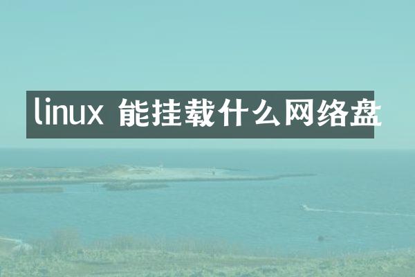 linux 能挂载什么网络盘