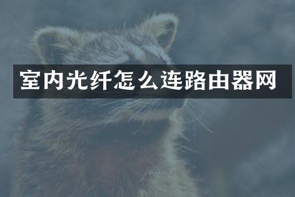 室内光纤怎么连路由器网