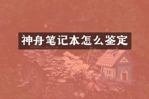 神舟笔记本怎么鉴定