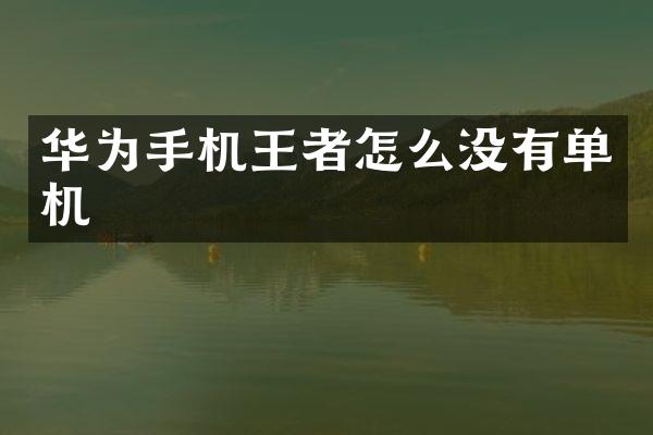 华为手机王者怎么没有单机