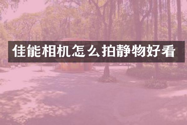 佳能相机怎么拍静物好看