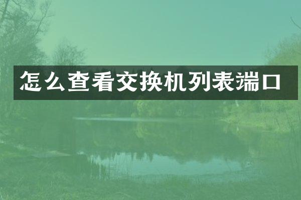 怎么查看交换机列表端口